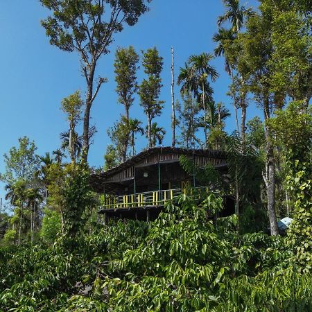 The Mountain Tree Home Wayanad Exterior foto