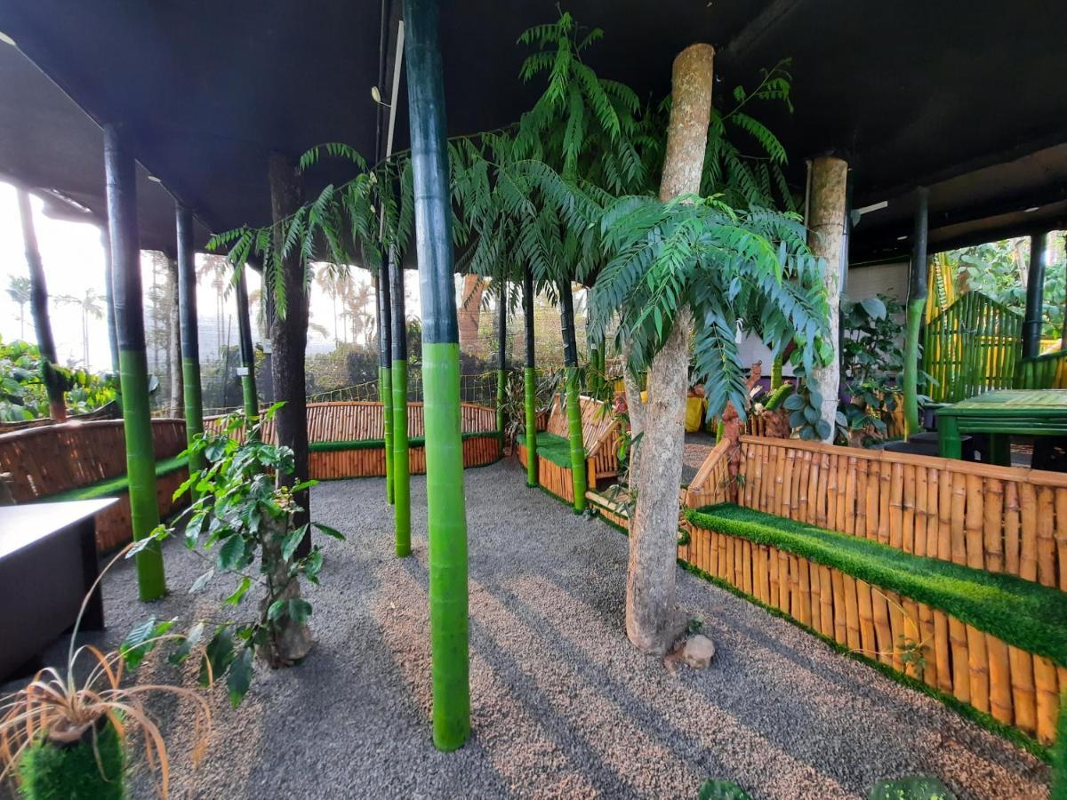 The Mountain Tree Home Wayanad Exterior foto
